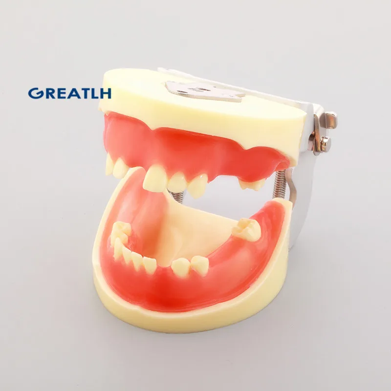 Dentl для тренировки имплантации модели стоматологические зубов