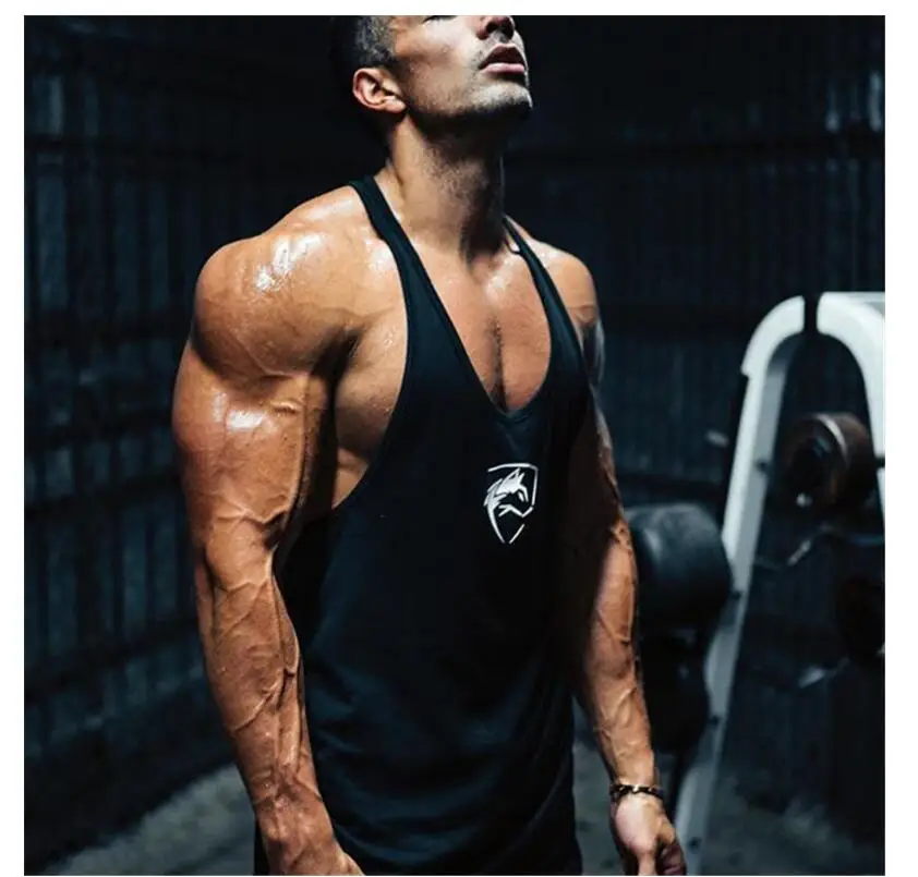 ALPHALETE, новинка, пляжная мода, майка для тренажерного зала, мужская, хлопок, без рукавов, гавайская летняя майка, майка, брендовая майка, мужские топы