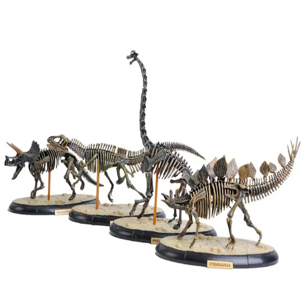 4D сборка окаменелого скелета динозавра моделирование животных модель игрушки
