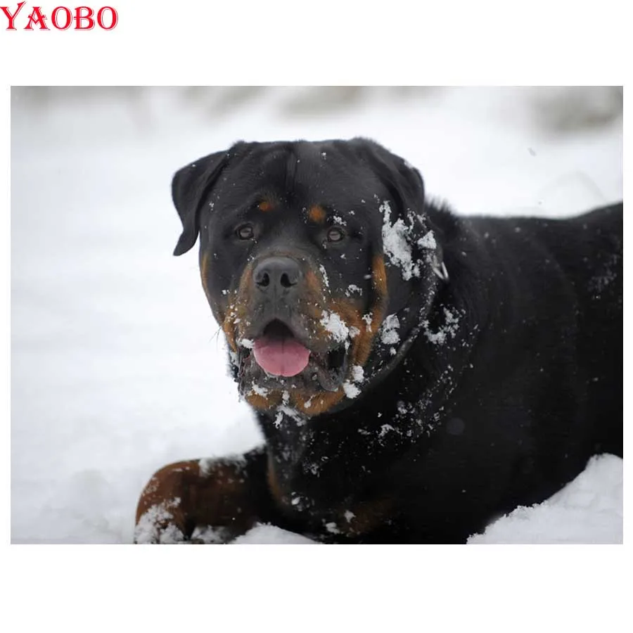 DIY 5D алмазная вышивка животные квадратная Алмазная мозаика милые домашние ручная