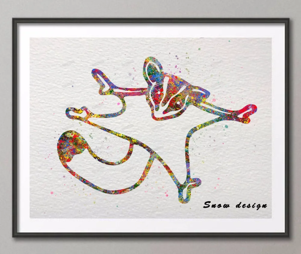 DIY Original Sugar Glider watercolor canvas painting pop wall art poster print Pictures living room Home Decoration Kids Bedroom | Дом и сад