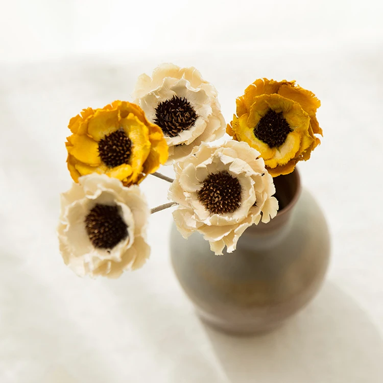 3 шт./лот высушенные цветы ручной работы натуральное растение антивыцветающая