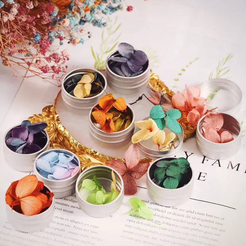 12 коробок сушеные цветы украшение для ногтей натуральная наклейка в виде цветка