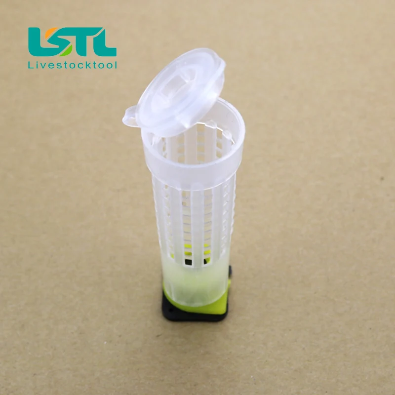 

Free Shipping Italian 50 pcs Bee Cags Beekeeping Rearing Cups Queen Bee Cell Cup Holder Bee Honey Knife Tools for Beekeeperd35