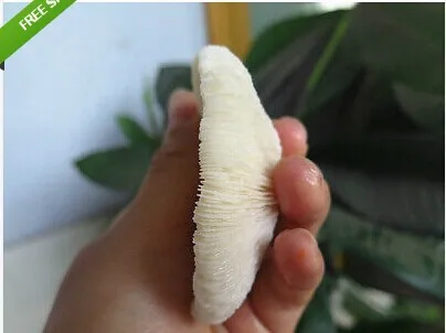 130 180 г белый коралл из Китая Хайнань|china lie|coral barchina kite |