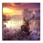 Алмазная вышивка 5D 