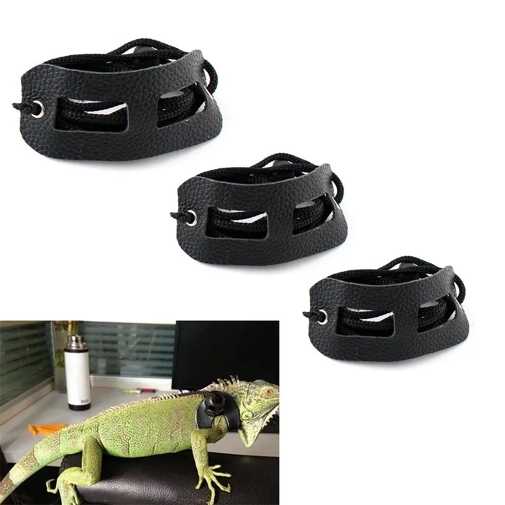 Поводок Lizards Iguana для рептилий поводок переноски домашних животных на открытом