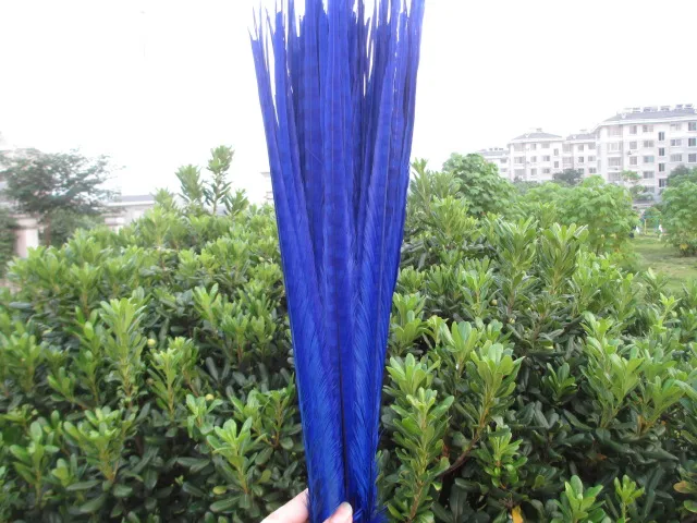 sapphire 50/партия Красивых Перьев Фазана 55-60 см различные цвета на выбор танцевальное торжество DIY Украшение - Цвет: sapphire