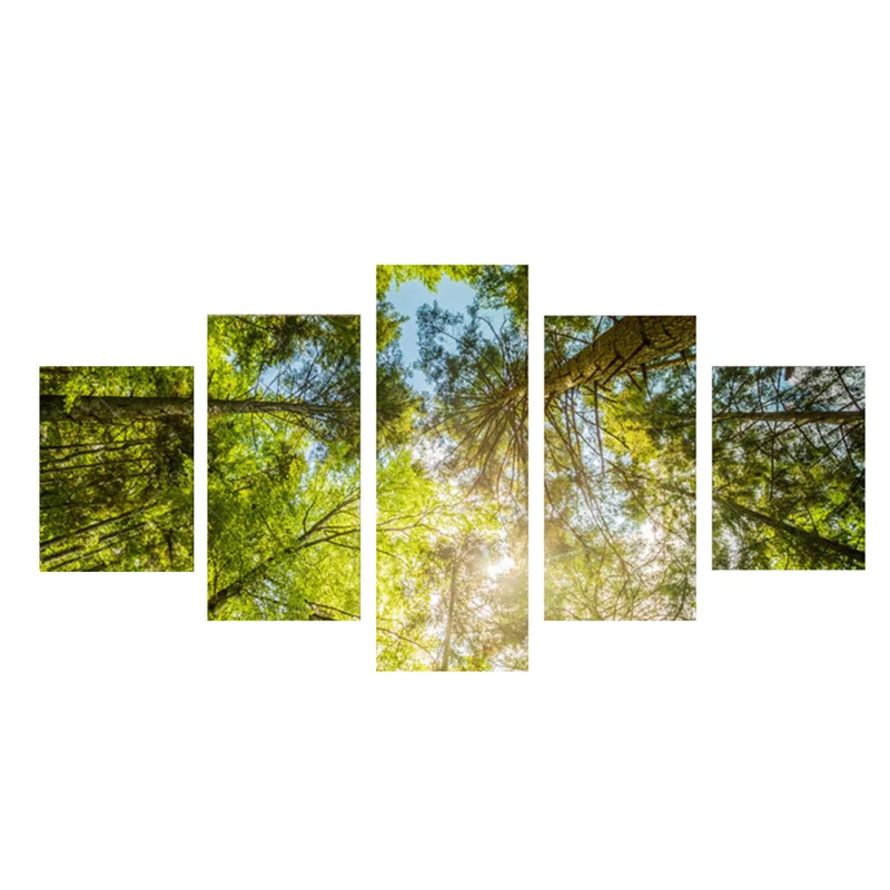 Картина маслом Куадрос 5 шт./компл. настенные картины с изображением лесного