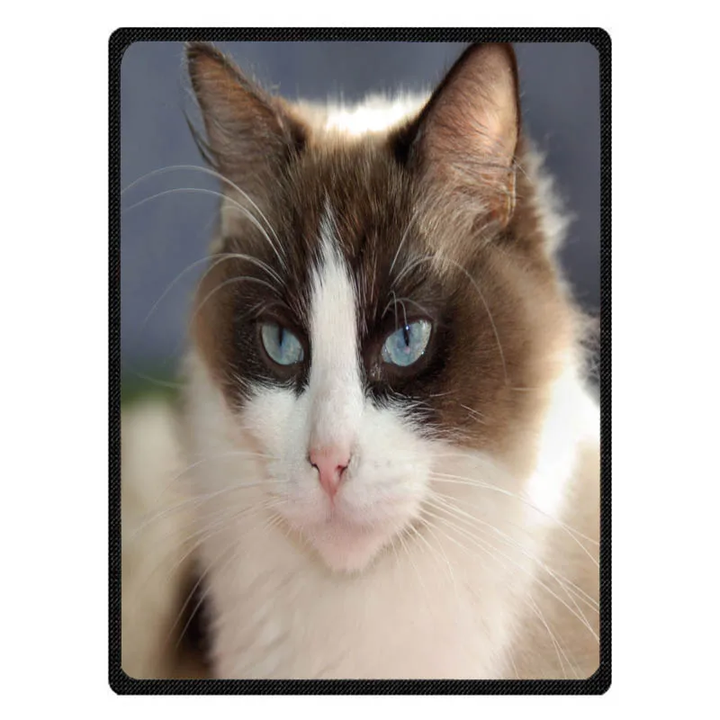 Ragdoll с принтом кота весна/осень одеяло коралловый флис покрывало простыня диван