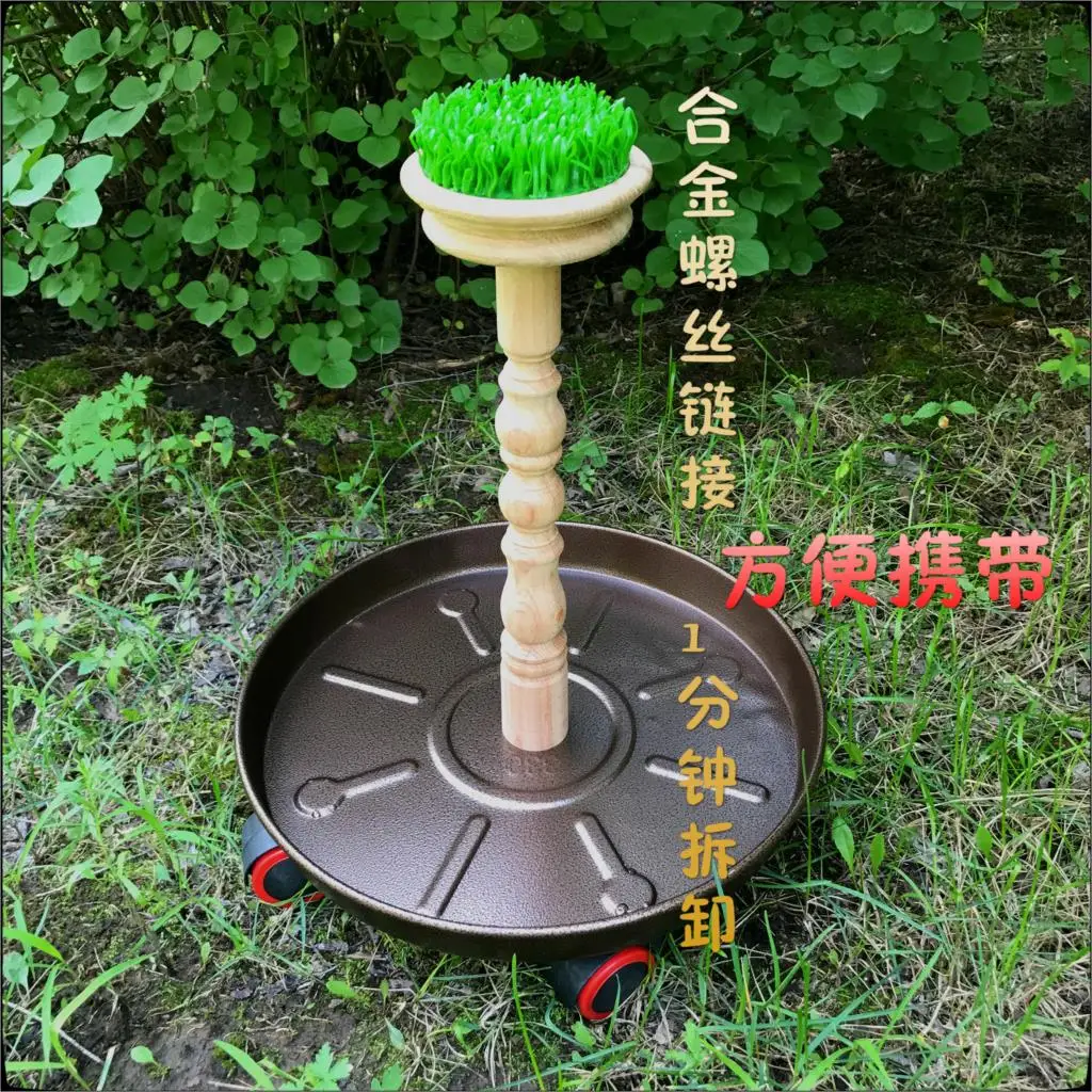 Falconry Perch Eagle Sparrow Hawk Kestrel платформа неподвижная стойка Орел Бар полный леса деревянный материал оборудование в сборе