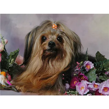 

YIKEE diamond painting dog Full embroidery diamond animal Diamonds Mosaic y874