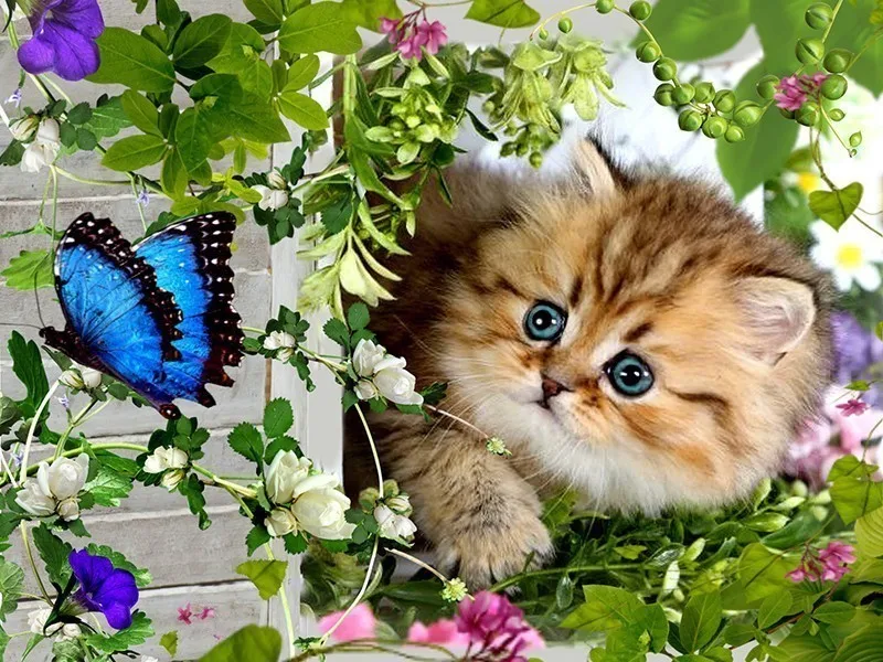 V8556 EverShine 5D Diamond Painting Animals Picture Of Rhinestones Diamond Embroidery Full Display Cat Cross Stitch Diamond Mosaic - Цвет: V8556
