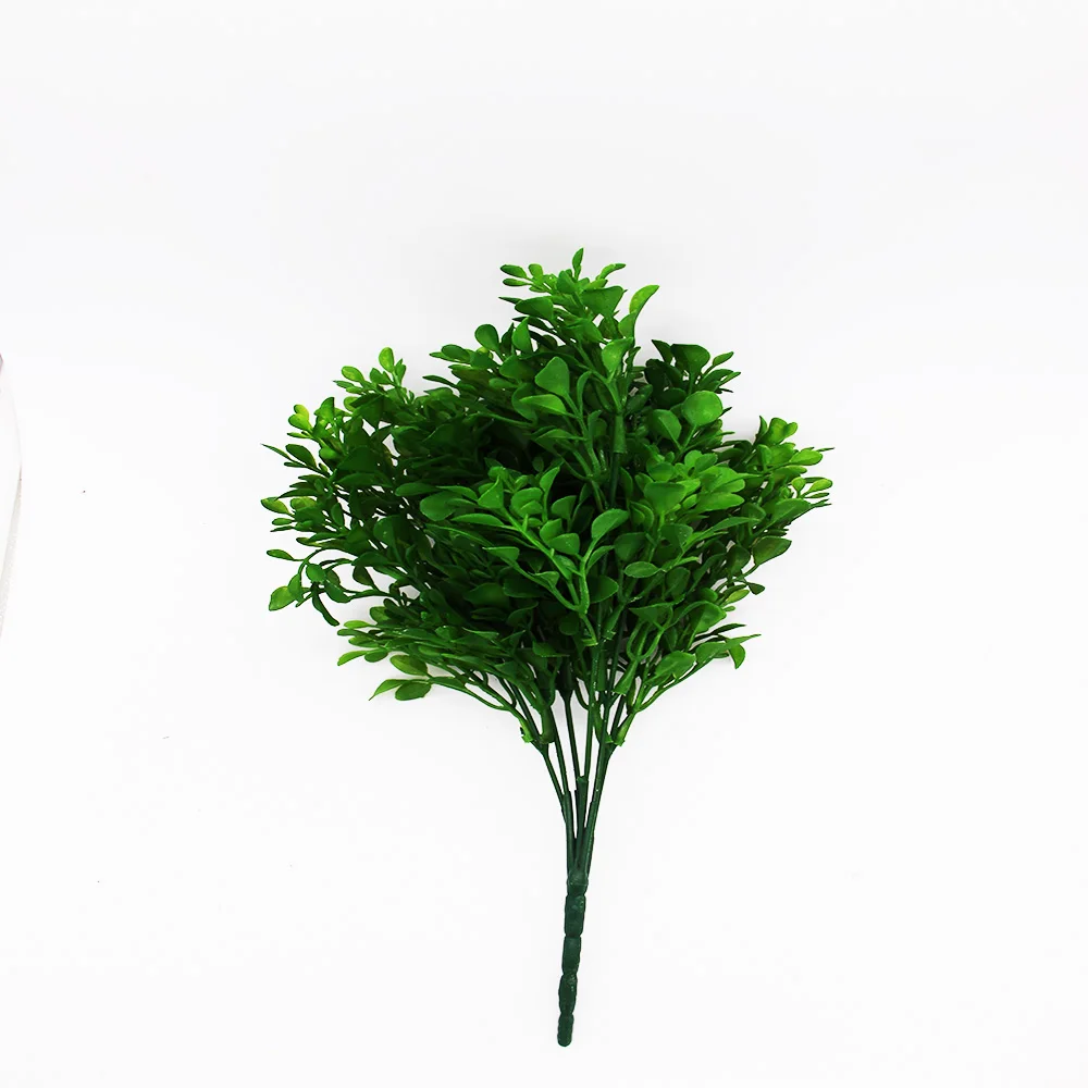 Имитирующие маленькие листья яркие чистые и расслабленные легко строятся не