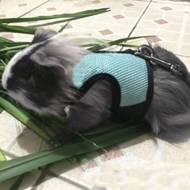panDaDa Rabbit Harness Ferret Bunny Hutch Guinea Pig Collar Hamster Lead S/M/L 3 Colors | Дом и сад