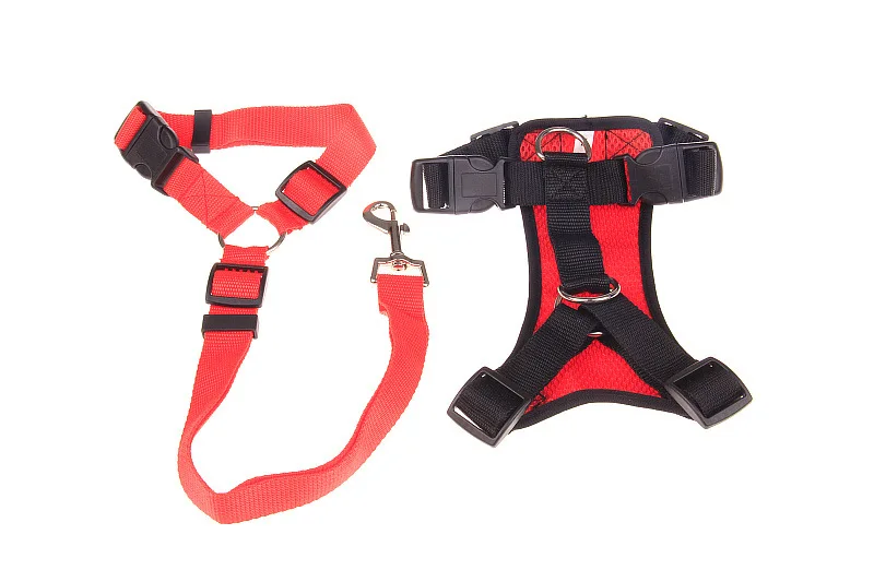 Red Set Ремень безопасности для щенка, собаки, ремень безопасности для домашних собак, ошейник для собаки, поводок, 5 цветов - Цвет: Red Set