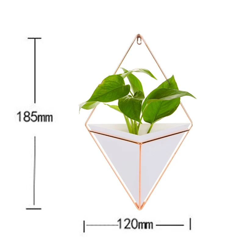 Acrylic flower Pot+ Iron Plant Holders Set Indoor Hanging Planter Geometric Vase Wall Decor Container Succulents Plant Pots