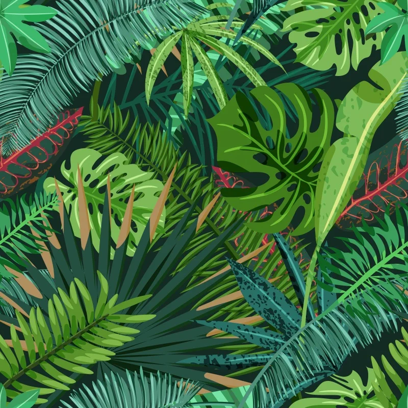 Laeacco Tropical Monstera детский летний праздничный фон для фотосъемки индивидуальные фотофоны для фотостудии