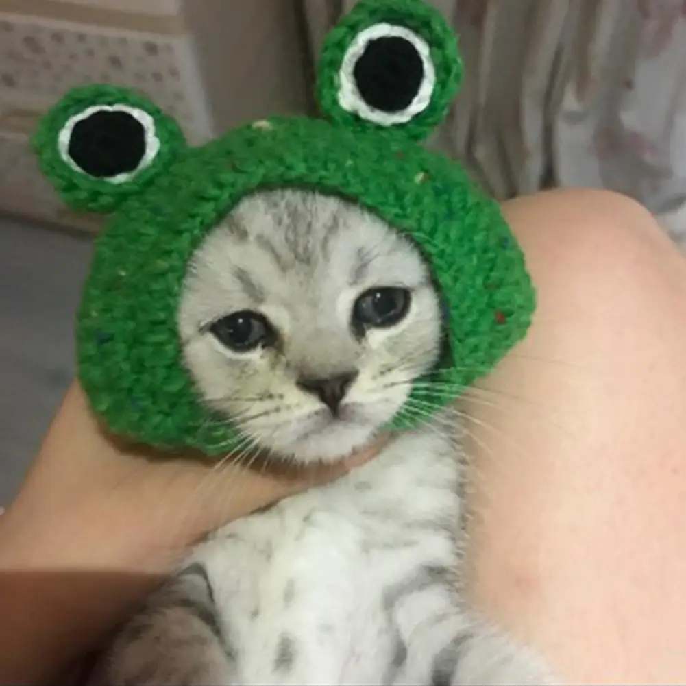 DIY Pet Cat Dog Creative Frog Design Hat Warm Knitted Gift for Pets | Accessories