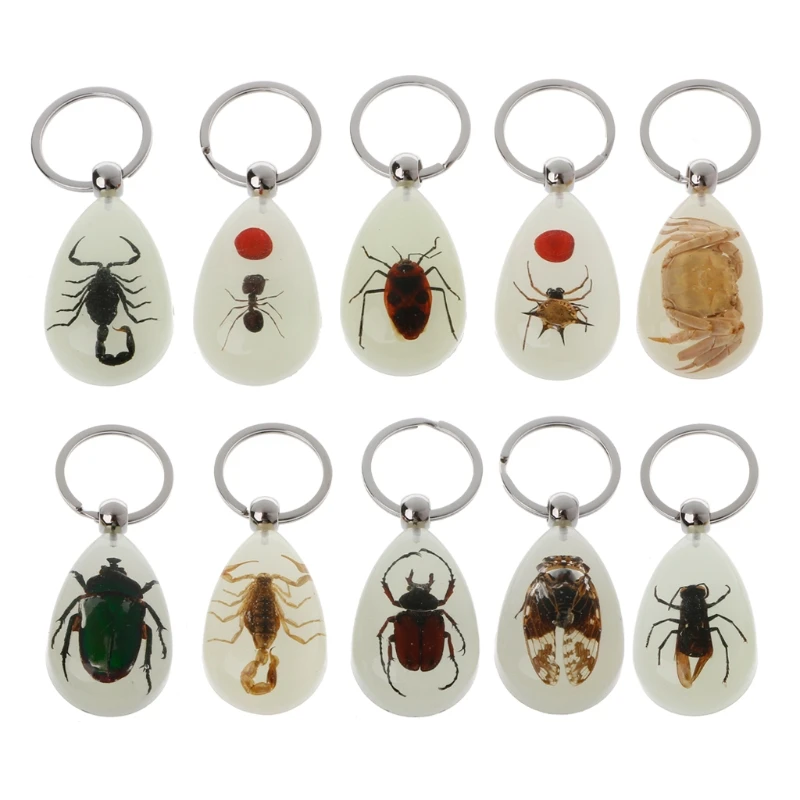 1 шт. модный брелок натуральный светящийся в темноте настоящее насекомое Жук