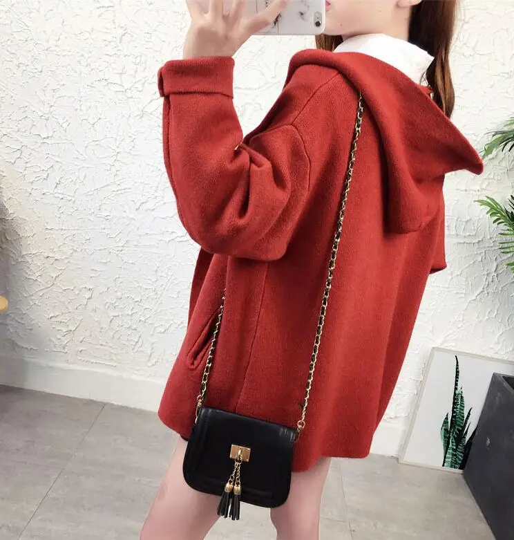 2019 Hooded Cardigan Women Knitted sweater Long Sleeve Autumn And Winter New Fashion Thick women's sweaters |