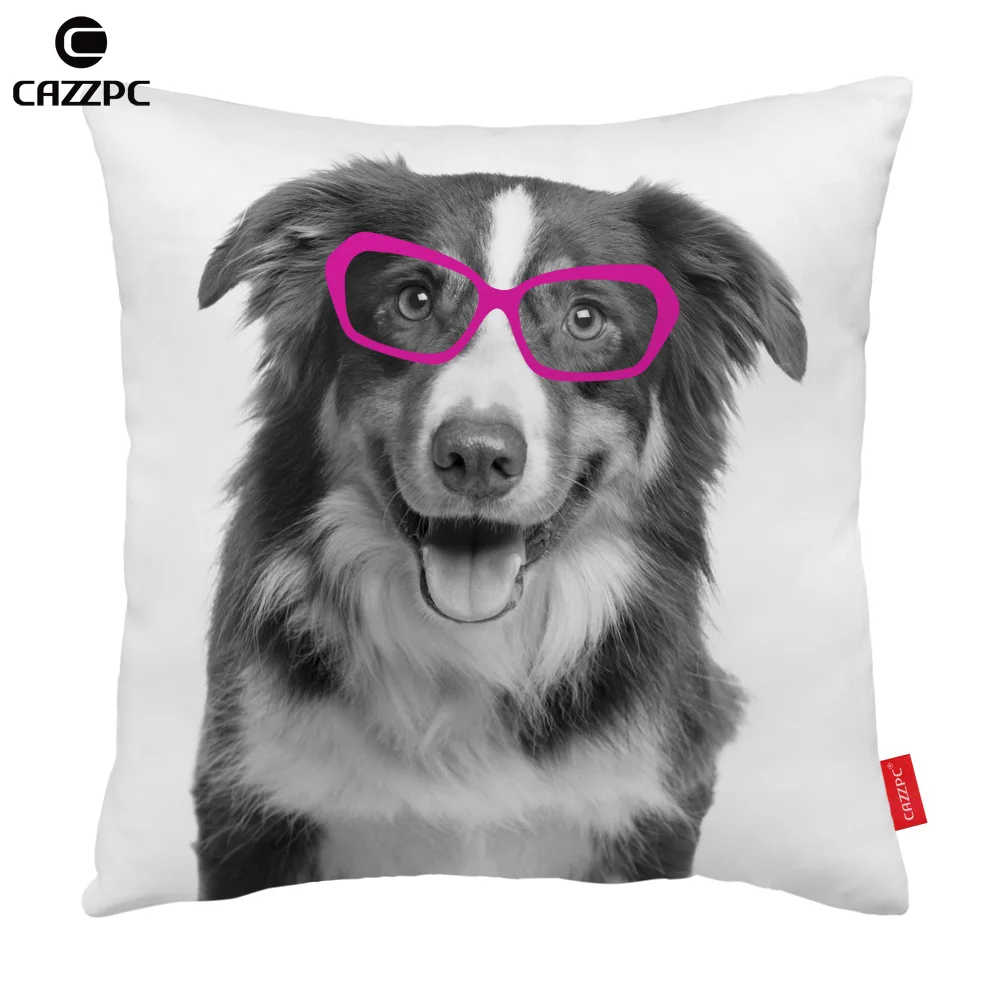 Забавные очки Border Collie Corgi таксы домашние любимцев Собака печати чехол для
