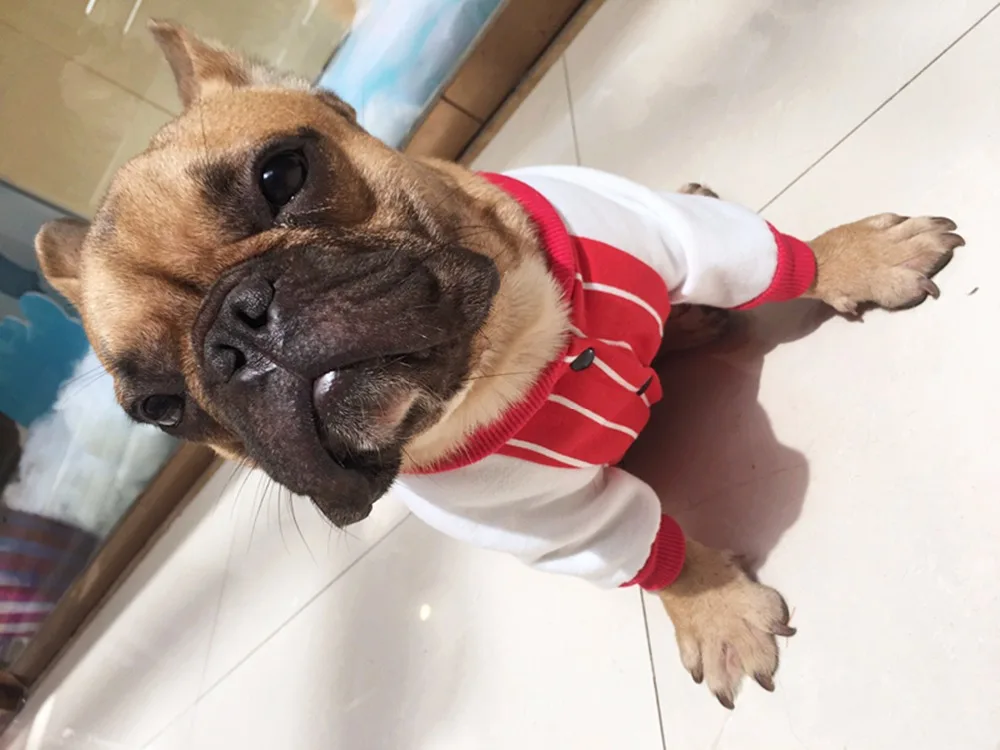 FA5 модные толстовки в полоску пальто бульдог бейсбольный стиль Осенняя одежда