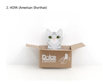 Бумажный блокнот с котом HonC