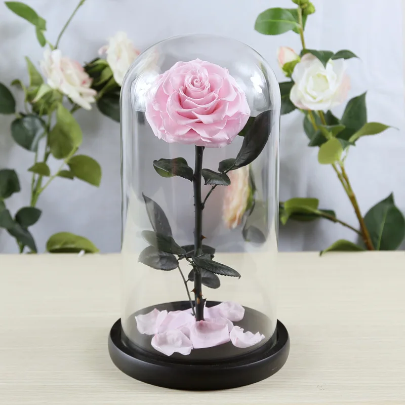 pink 32 см стеклянная крышка свежесконсервированные розы цветы колючая Роза Флорес для свадьбы свадебные вечерние украшения подарок на день Святого Валентина - Цвет: pink