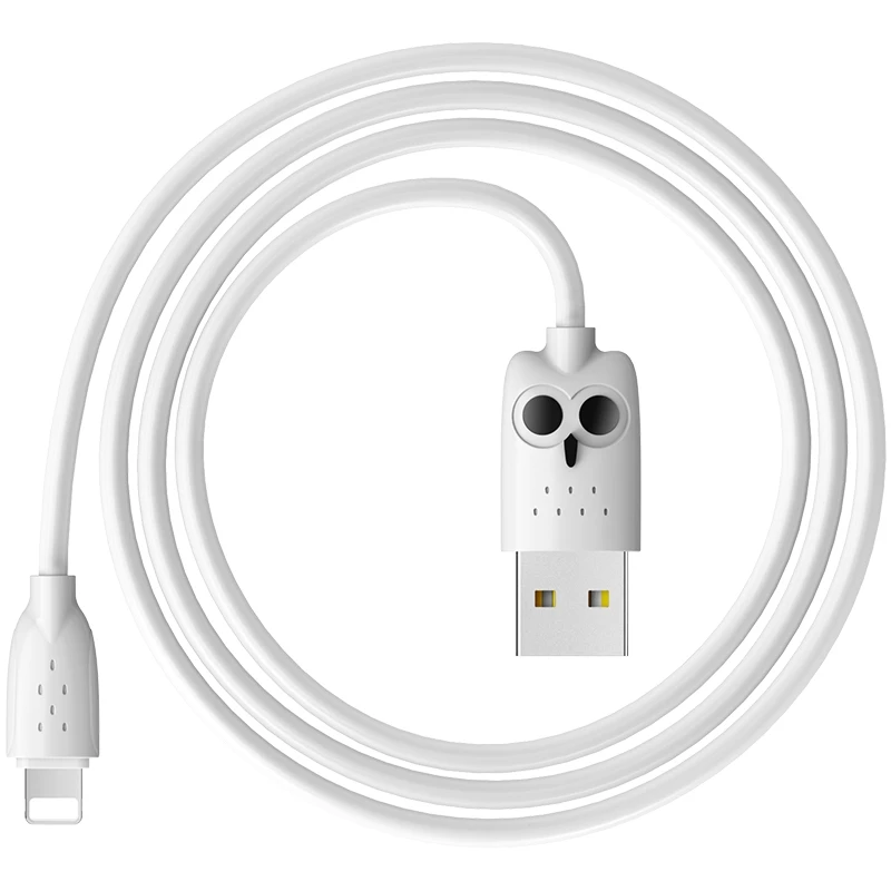 100cm White HOCO USB кабель для iPhone, зарядный кабель, двойное USB зарядное устройство для iPhone 5S 6 7 8 XS XR 2.4A зарядное устройство - Цвет: 100cm White
