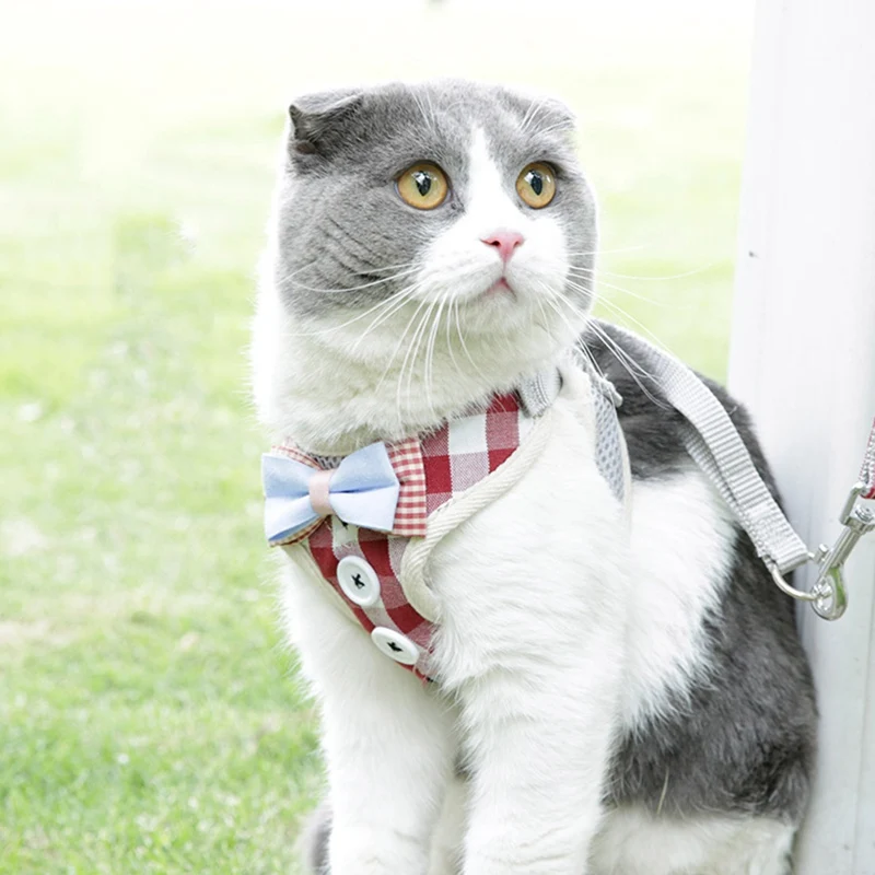 Новинка нагрудный ремень для кошек котят с боутом регулируемые ошейники собак