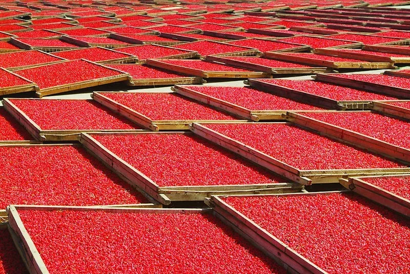 Goji крем для лица омолаживающий крем с экстрактом Годжи отбеливающий крем против старения против морщин для подтяжки лица deep moisturizi