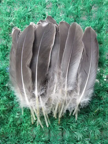 10 шт. гусиное перо 15 20 см|feather lashes|feather companiesfeather pillow |