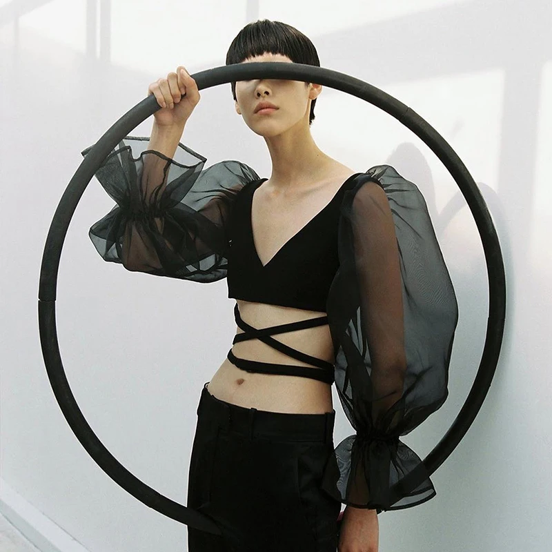 Deep V-neck Tee Shirt Women Elegant Mesh Puff Long Sleeve Crop Top Lace Up Ladies Purple Black Vacation T shirts | Женская одежда