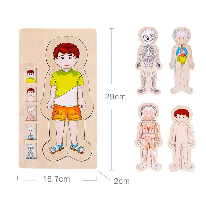 Wooden Tetris Boy Puzzles Frog Toy Baby Colorful Jigsaw Board Children Body Structure Intellectual Educational Toys For | Игрушки и