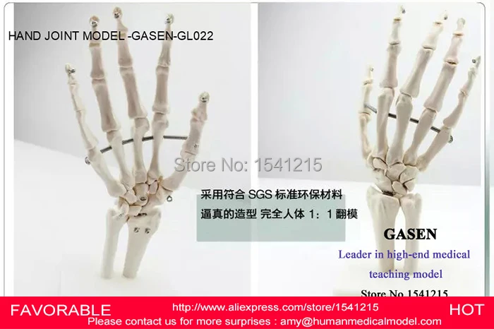 Модель скелета для ручного соединения модель человеческого ладони шарнирный