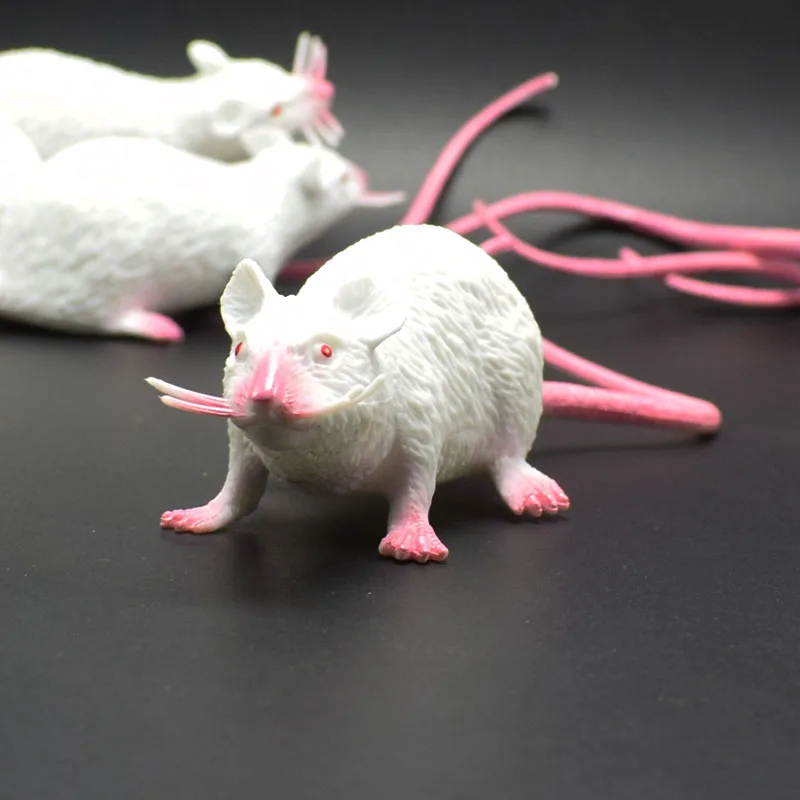 

22CM PVC Lifelike White mouse model Practical Jokes toys For Kids learning April fool's day