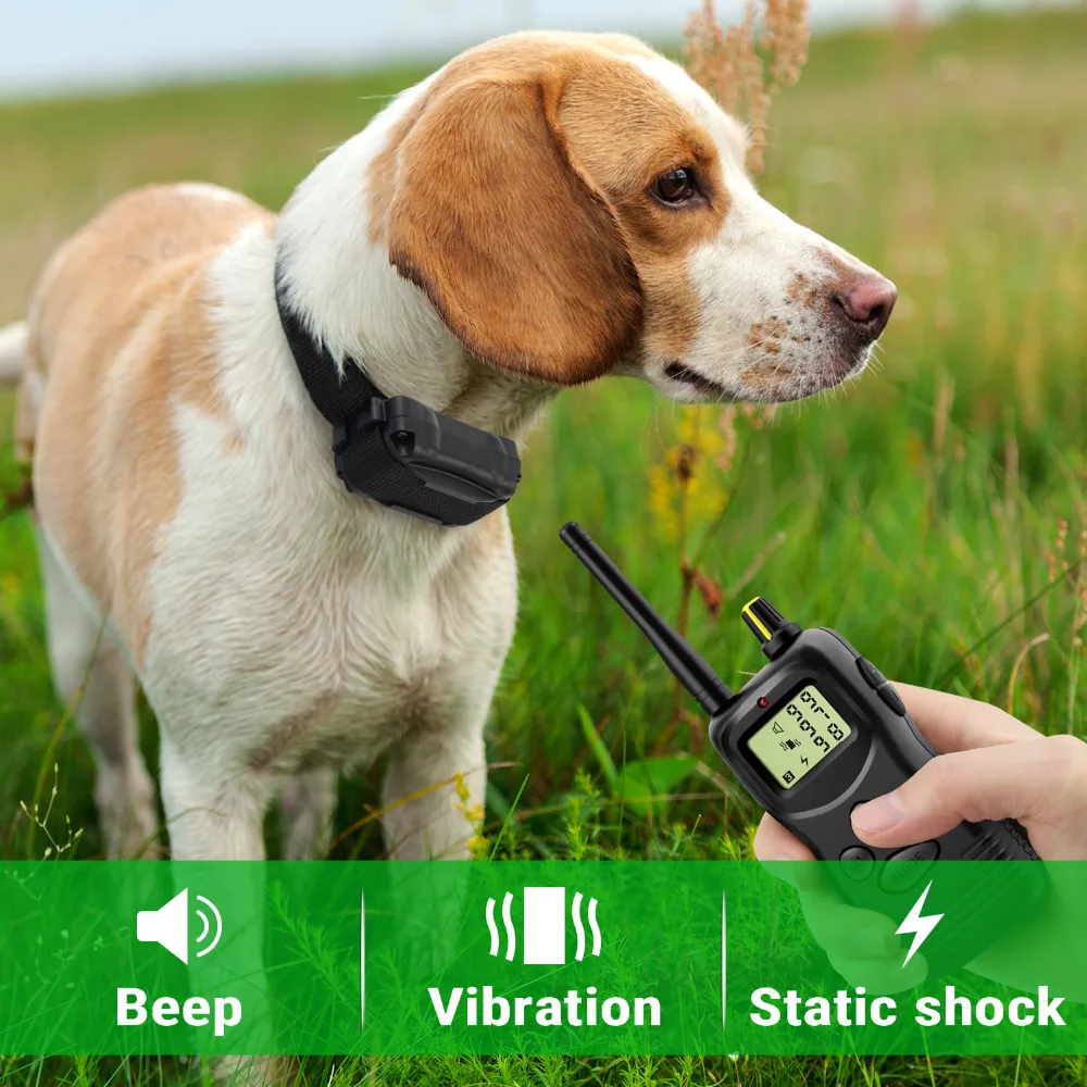 Электронный ошейник для дрессировки собак Petrainer 900 1 1000 м с пультом ДУ|control dog training