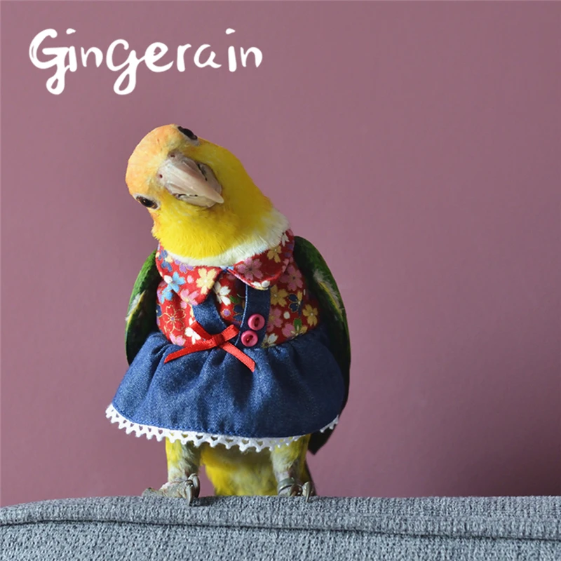 Gingerain одежда с птицами попугай джинсовая юбка оригинальная ручная работа на