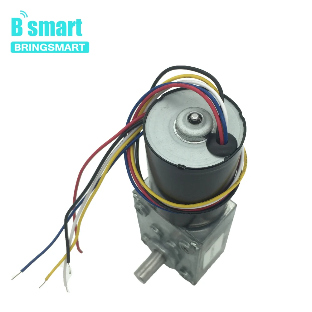 Bringsmart бесщеточный 12V 24V червячок для коробки передач мотора постоянного тока Реверсивный электрический мини-мотор с встроенной функцией спуска затвора микро турбинный червячный редуктор
