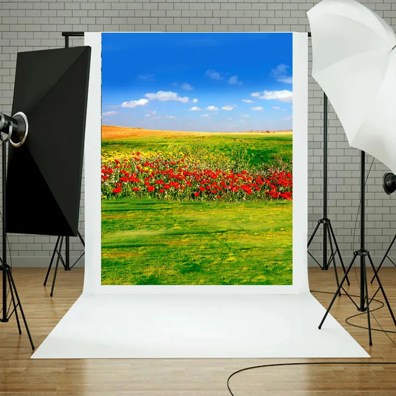 Фон для студийной фотосъемки новорожденных с пейзажами детей изображением