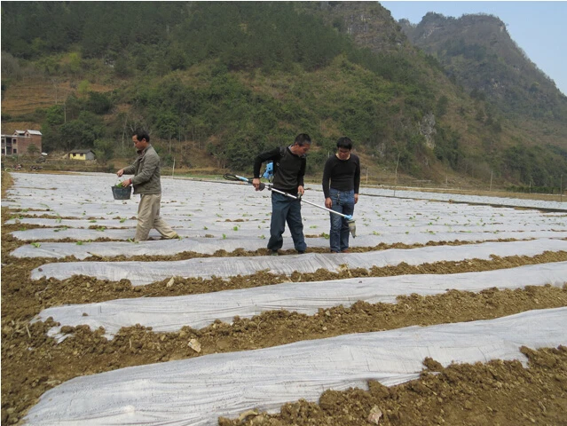 Газовый двигатель ранец копать табак лист саженец машина для посадки кукуруза