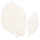 100x натуральный Магнолия Скелет листья карты Скрапбукинг DIY ремесла белый