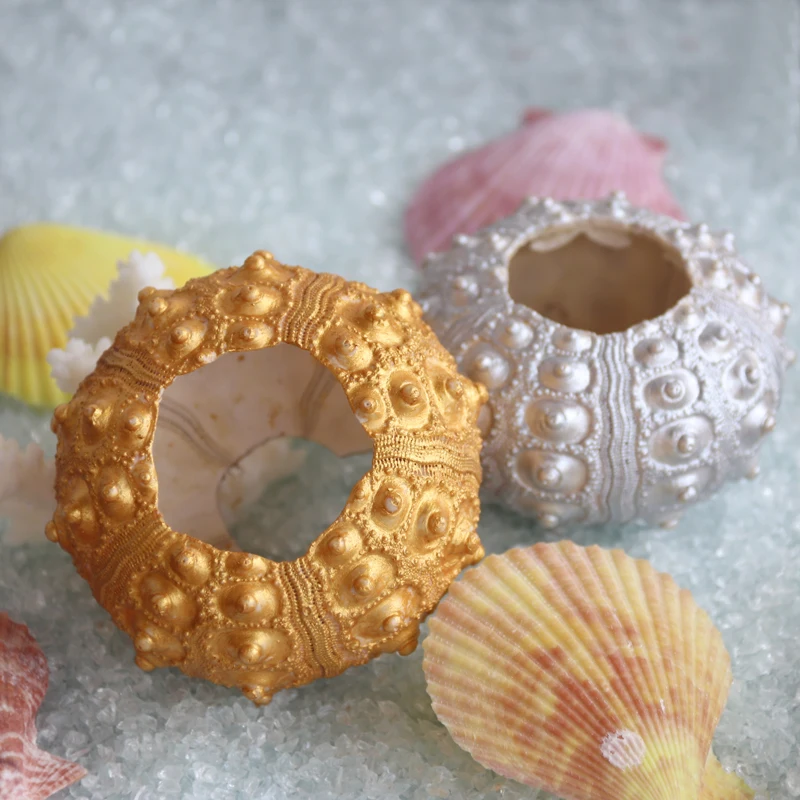 

Free Shipping Golden&Silver Avender Sea Urchin Natural Shell Conch Beach Wedding Decoration Coastal Home Decoration