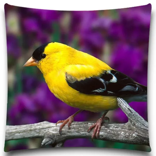 Животных птиц выгодное предложение 2016 наволочка площади сова Чехлы декоративная