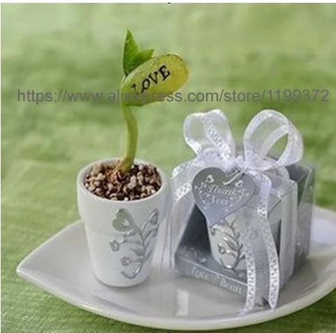 100 шт. семена волшебного сообщения любви бобы Забавный новый подарок волшебный