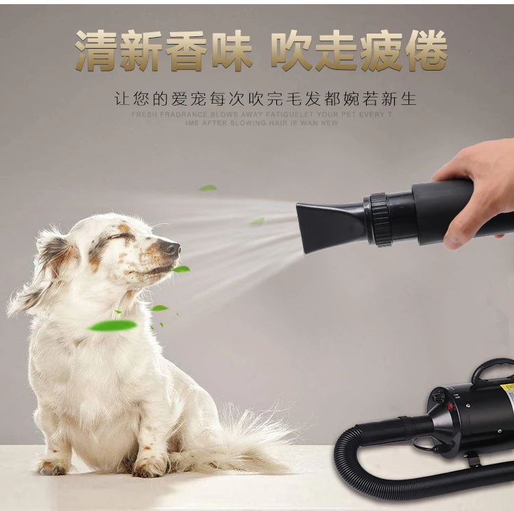 Pet профессиональная электрическая машина для воды 2200 Вт Бесшумная собачья шерсть сушилка для домашних животных магазин фен большая собачья шерсть воздуходувка аппарат сварочный