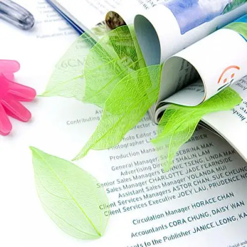 Новинка Лидер продаж 50 шт. самодельные листья скелета из натуральной магнолии