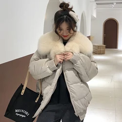 grey 90% белый утиный пух, зимняя женская куртка,, chaqueta mujer, пальто с натуральным лисьим меховым воротником, короткая женская парка, abrigo mujer - Цвет: grey