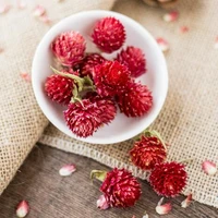 naturally dried preserved flower red gomphrena globosa for wedding party home hotel decoration diy bouquet project accessory